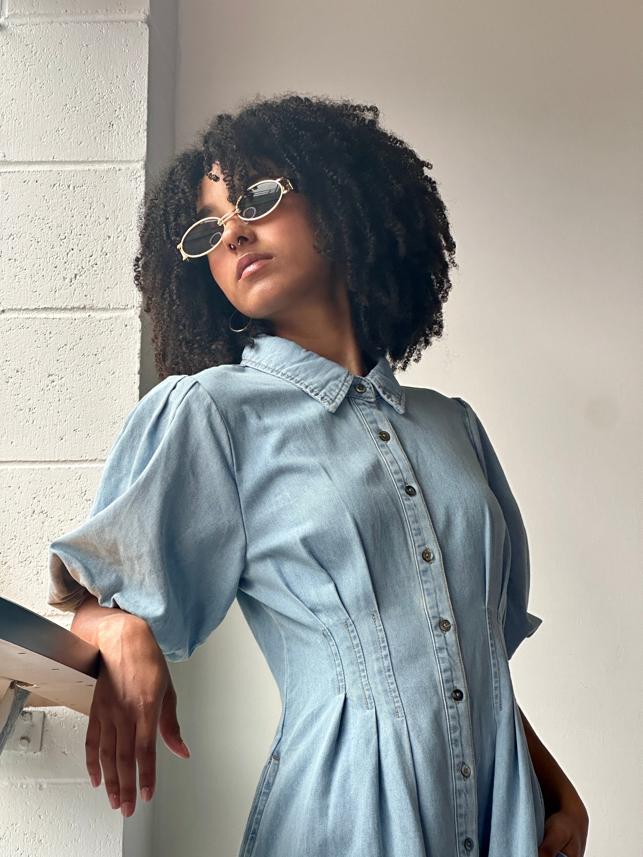 Pleated Button Front Denim Dress