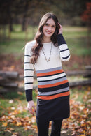 Multi Stripe Knit Sweater Dress